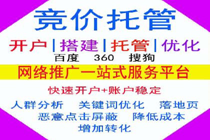 SEM竞价广告投放效果案例分析